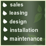 indoor plant leasing, sales, maintenance, design