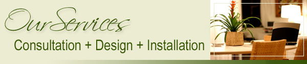 plantscape designs, installation, services